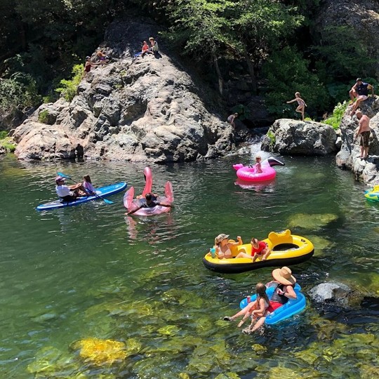 Summer in Plumas County CA