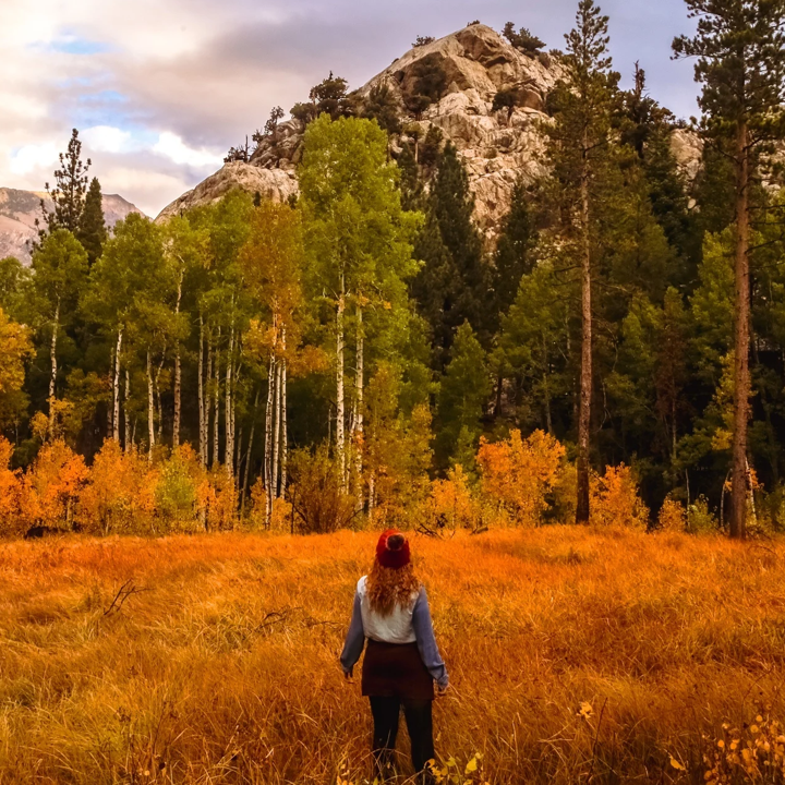 Fall in Plumas County CA